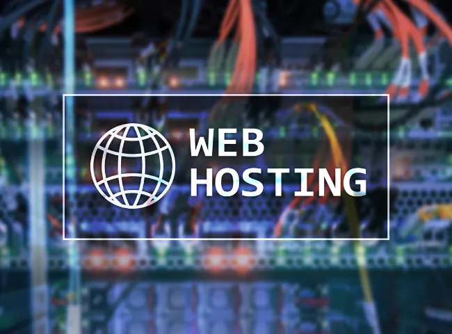 Hosting Provider