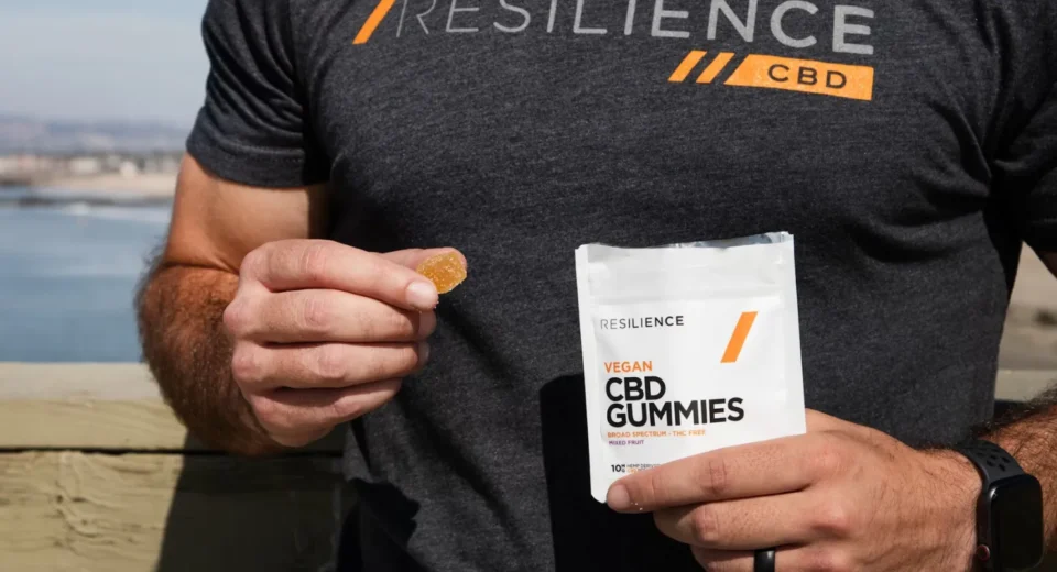 Top 6 CBD Brands Offering the Best Value in 2025