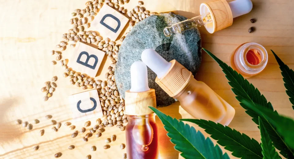 Top 6 CBD Brands for Stress-Free Living
