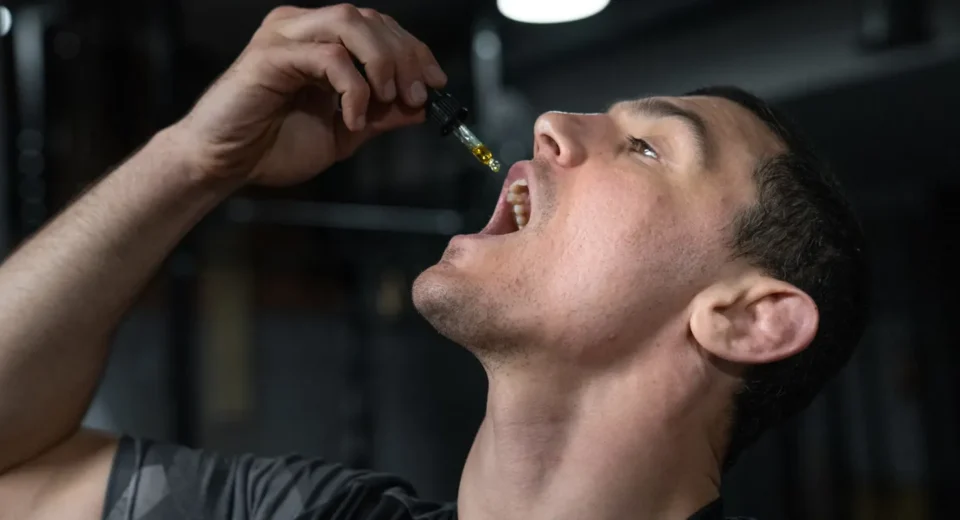 Top 6 CBD Companies Known for Quality & Purity in 2025