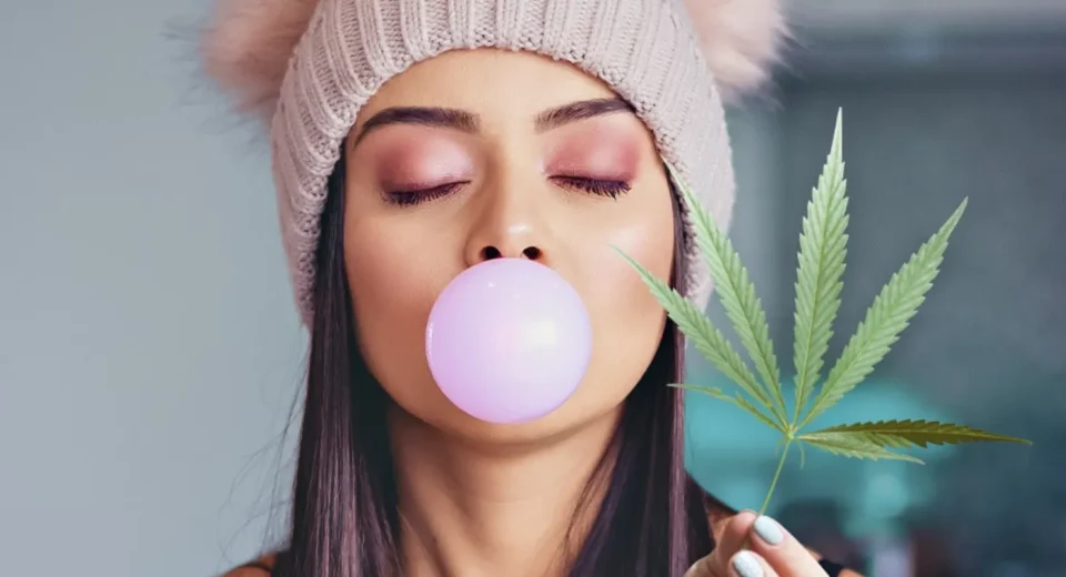 Top 6 CBD Picks for Natural Relief and Relaxation