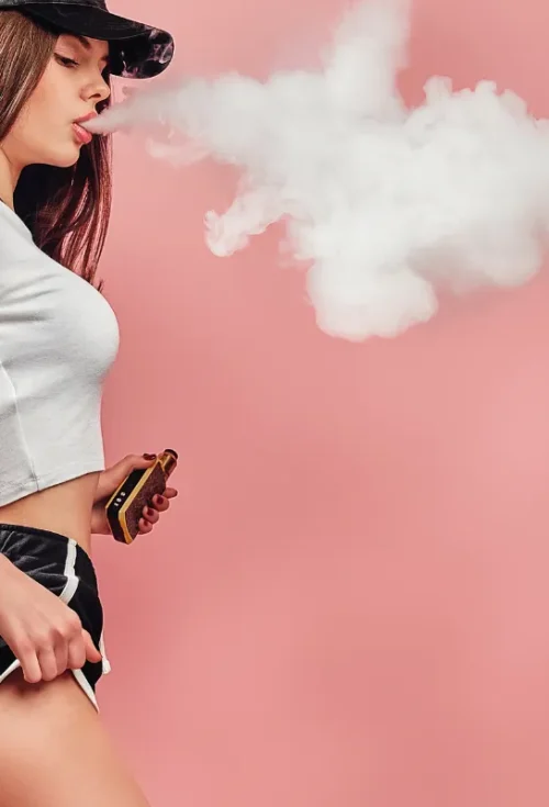 Top 6 Vaporizer and Smoking Accessory Brands in 2025